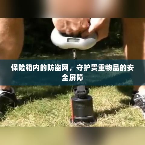 保险箱内防盗网，守护贵重物品的安全卫士-图1