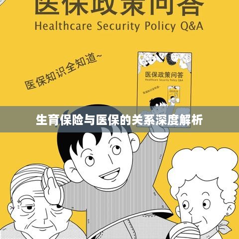 生育保险与医保关系的深度探讨-图1 生育保险与医保关系的深度探讨-图1