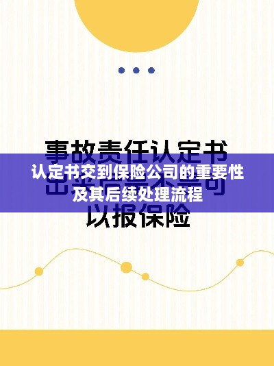 认定书对保险公司的重要性及后续处理流程详解-图1 认定书对保险公司的重要性及后续处理流程详解-图1