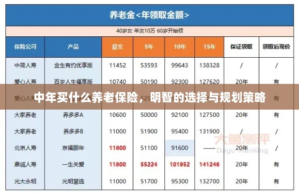 中年明智之选,养老保险的规划与策略-图1 中年明智之选,养老保险的规划与策略-图1