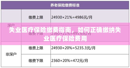 失业医疗保险缴费详解,如何正确缴纳费用指南-图1 失业医疗保险缴费详解,如何正确缴纳费用指南-图1