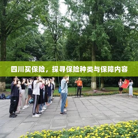 四川保险探秘，种类与保障内容全解析-图1