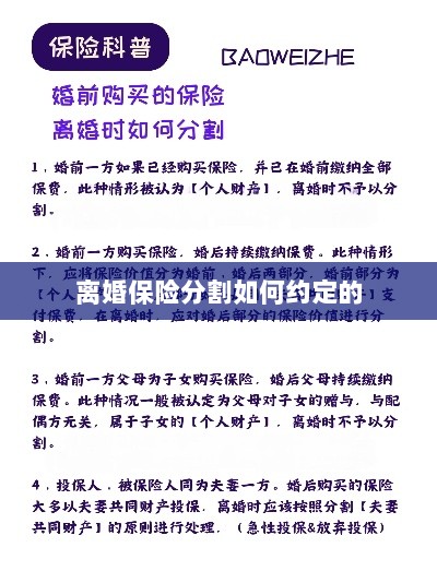 离婚保险分割约定详解-图1 离婚保险分割约定详解-图1