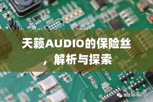 天籁AUDIO保险丝解析与探索-图1