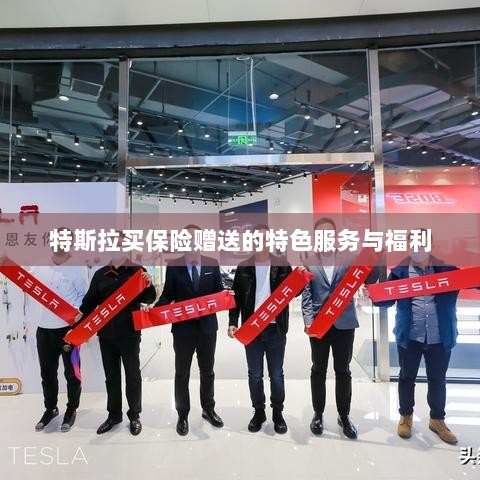 特斯拉保险特惠,独家特色服务与丰厚赠品等你来享-图1 特斯拉保险特惠,独家特色服务与丰厚赠品等你来享-图1