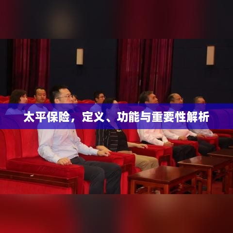 太平保险,定义、功能及重要性全面解析-图1 太平保险,定义、功能及重要性全面解析-图1