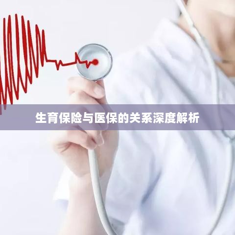 生育保险与医保关系的深度探讨-图1 生育保险与医保关系的深度探讨-图1