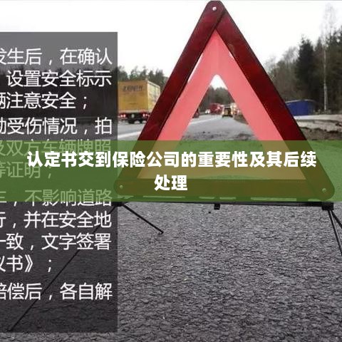 认定书交到保险公司的重要性及后续处理流程详解-图1 认定书交到保险公司的重要性及后续处理流程详解-图1