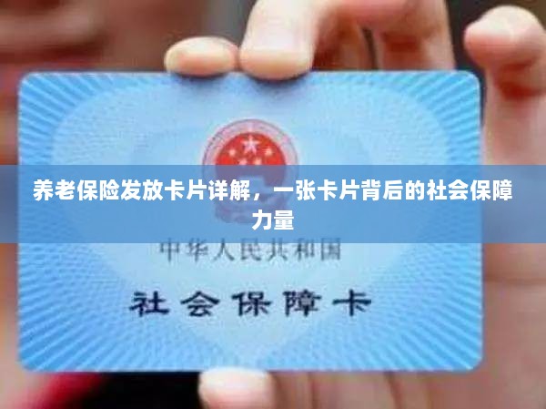 养老保险发放卡片全面解析,社会保障力量的见证-图1 养老保险发放卡片全面解析,社会保障力量的见证-图1