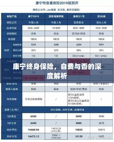 康宁终身保险,自费与否的全面解析与探讨-图1 康宁终身保险,自费与否的全面解析与探讨-图1