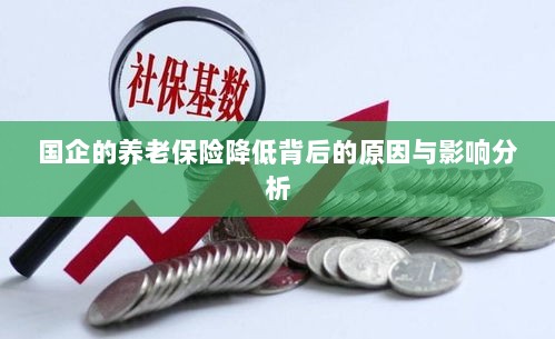 国企养老保险降低背后的原因及影响深度解析-图1 国企养老保险降低背后的原因及影响深度解析-图1