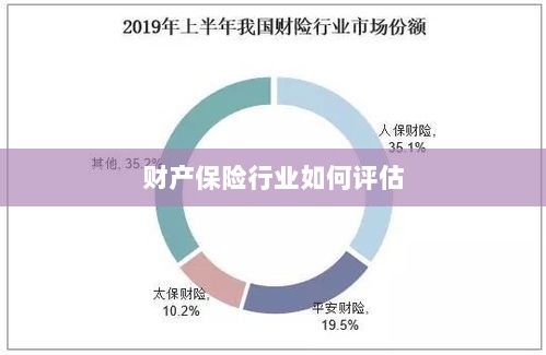 财产保险行业评估方法与策略解析-图1