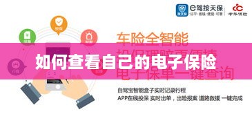 如何查看个人电子保险保单详情-图1