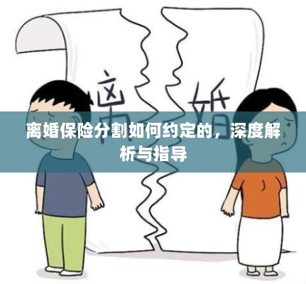 离婚保险分割深度解析与指导，约定要点及操作流程-图1