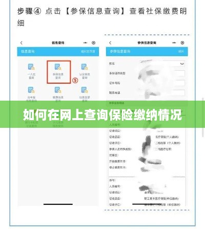 网上查询保险缴纳情况攻略-图1