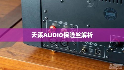 天籁AUDIO保险丝详解-图1