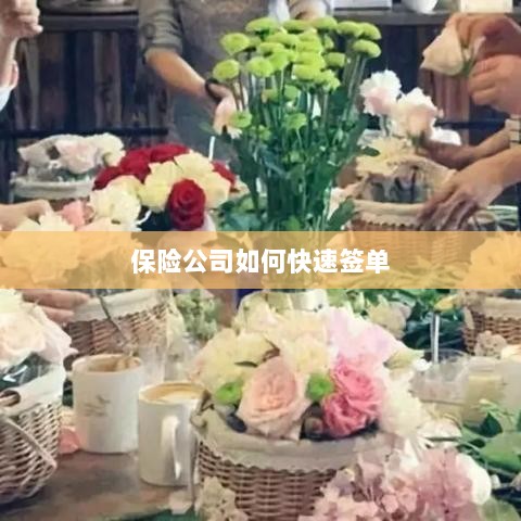 保险公司签单提速策略揭秘-图1 保险公司签单提速策略揭秘-图1