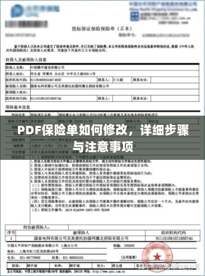 PDF保险单修改指南,步骤与注意事项全解析-图1 PDF保险单修改指南,步骤与注意事项全解析-图1