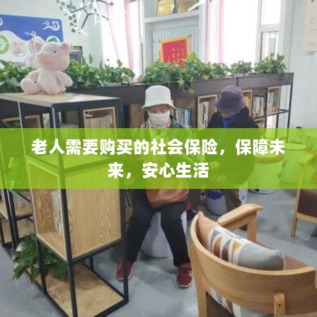 老人社会保险,保障未来,安心生活-图1 老人社会保险,保障未来,安心生活-图1