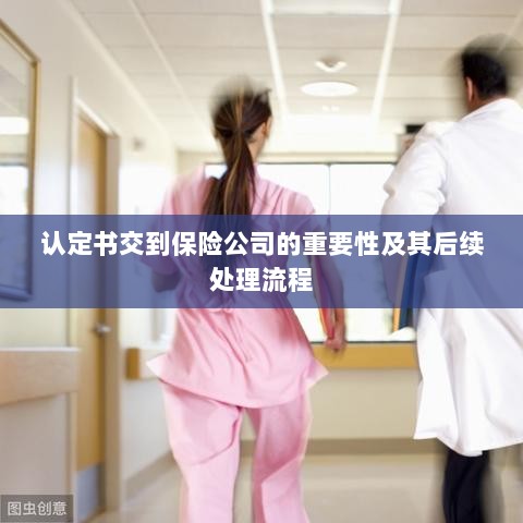认定书对保险公司的重要性及后续处理流程详解-图1