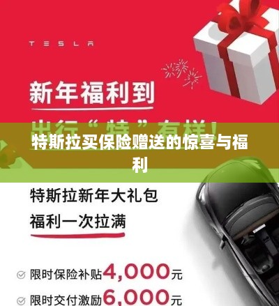 特斯拉保险购买赠品与惊喜福利概述-图1 特斯拉保险购买赠品与惊喜福利概述-图1