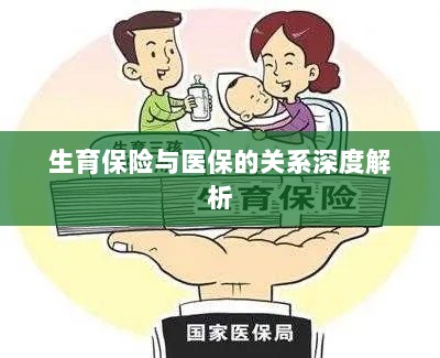 生育保险与医保关系的深度探讨-图1