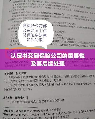 认定书交到保险公司的重要性及后续处理流程详解-图1 认定书交到保险公司的重要性及后续处理流程详解-图1