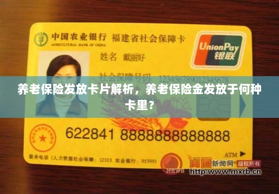 养老保险发放卡片详解,养老金发放至何种卡片?-图1 养老保险发放卡片详解,养老金发放至何种卡片?-图1