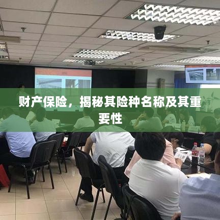 揭秘财产保险险种名称及其重要性,保障您的财产安全!-图1 揭秘财产保险险种名称及其重要性,保障您的财产安全!-图1