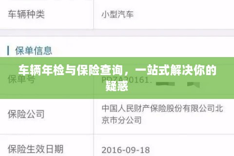 车辆年检与保险查询，一站式解答指南-图1