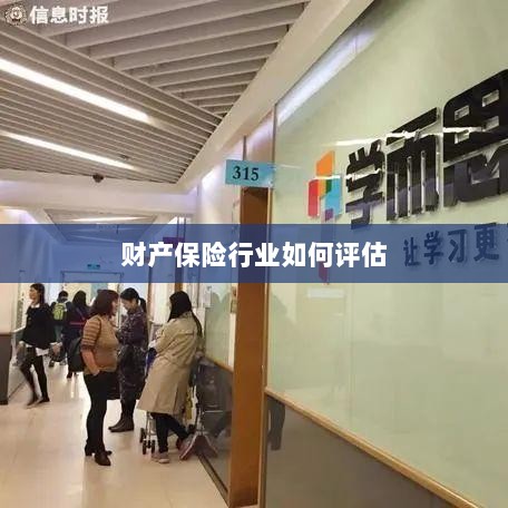 财产保险行业评估方法与策略解析-图1