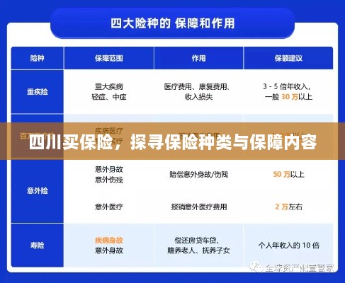 四川保险探秘,种类与保障内容全解析-图1 四川保险探秘,种类与保障内容全解析-图1