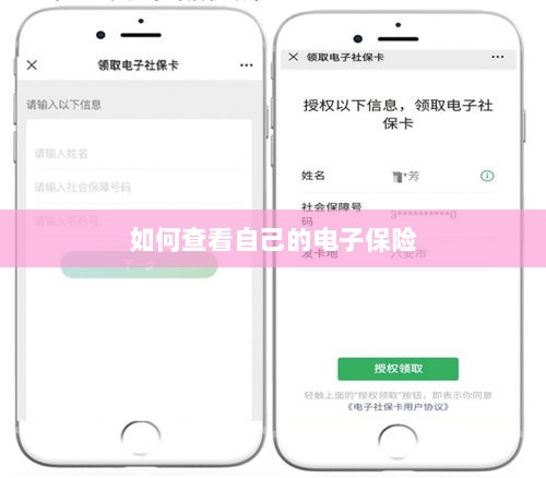 如何查看个人电子保险保单详情-图1
