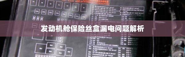 发动机舱保险丝盒漏电问题深度解析-图1