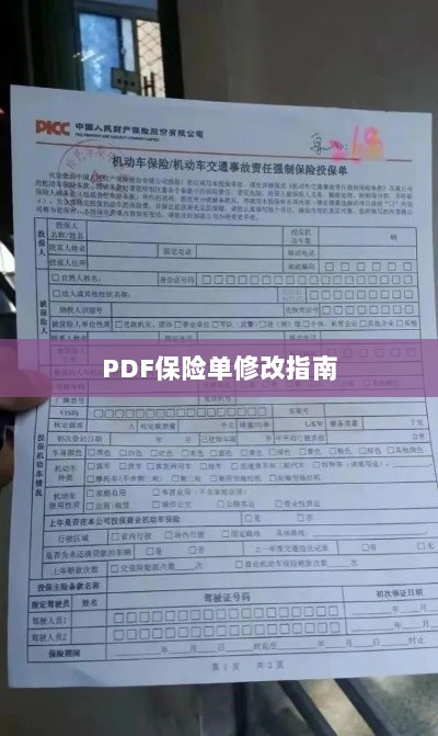 PDF保险单修改指南详解-图1 PDF保险单修改指南详解-图1