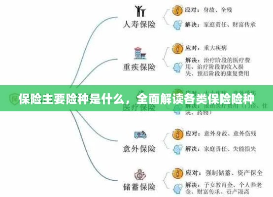 全面解读保险主要险种,各类保险险种介绍与解析-图1 全面解读保险主要险种,各类保险险种介绍与解析-图1