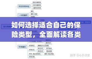 全面解读保险类型选择，如何挑选适合自己的保险方案？-图1