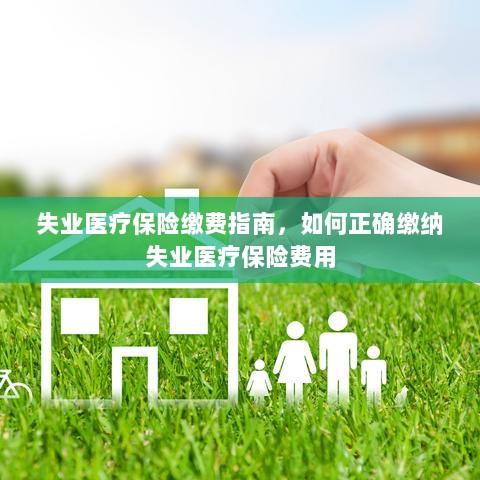 失业医疗保险缴费详解，如何正确缴纳费用指南-图1
