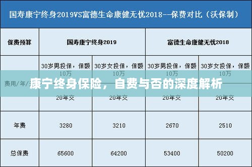 康宁终身保险，自费与否的全面解析与探讨-图1