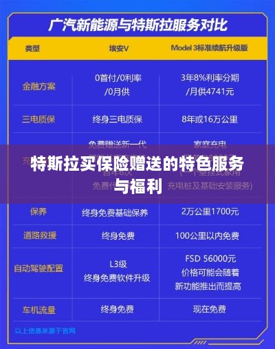 特斯拉保险特惠,独家特色服务与丰厚赠品等你来享-图1 特斯拉保险特惠,独家特色服务与丰厚赠品等你来享-图1