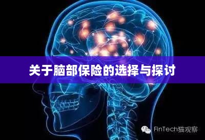 脑部保险的选择与探讨指南-图1
