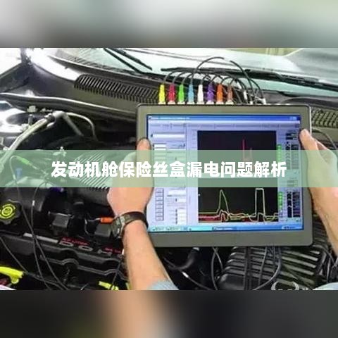 发动机舱保险丝盒漏电问题深度解析-图1