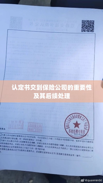 认定书交到保险公司的重要性及后续处理流程详解-图1