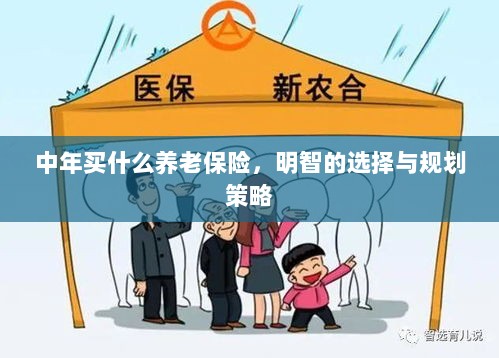 中年明智之选,养老保险的规划与策略-图1 中年明智之选,养老保险的规划与策略-图1