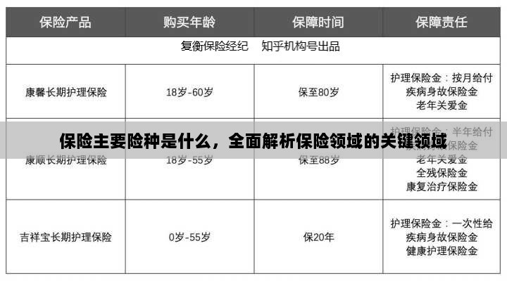 全面解析保险领域关键领域，主要险种介绍与概述-图1