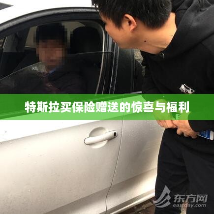 特斯拉保险购买赠品与惊喜福利概述-图1 特斯拉保险购买赠品与惊喜福利概述-图1