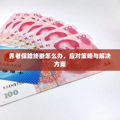 养老保险中断应对指南，解决方案与策略-图1