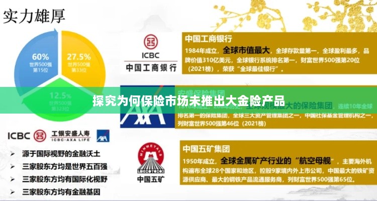保险市场为何未推出大金险产品探究-图1