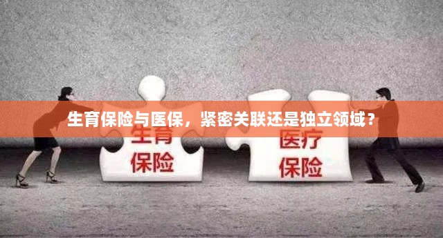 生育保险与医保，紧密关联还是独立领域探讨？-图1