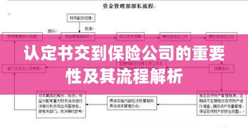 认定书交到保险公司的流程解析与重要性探讨-图1
